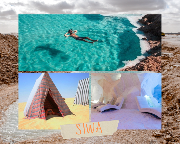 Siwa Oasis Recovery Program